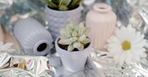 découvrez une sélection unique de cadeaux pour le jardin, parfaits pour les amateurs de nature et de botanique. offrez le cadeau idéal pour embellir les espaces extérieurs et faire plaisir à vos proches passionnés de jardinage.