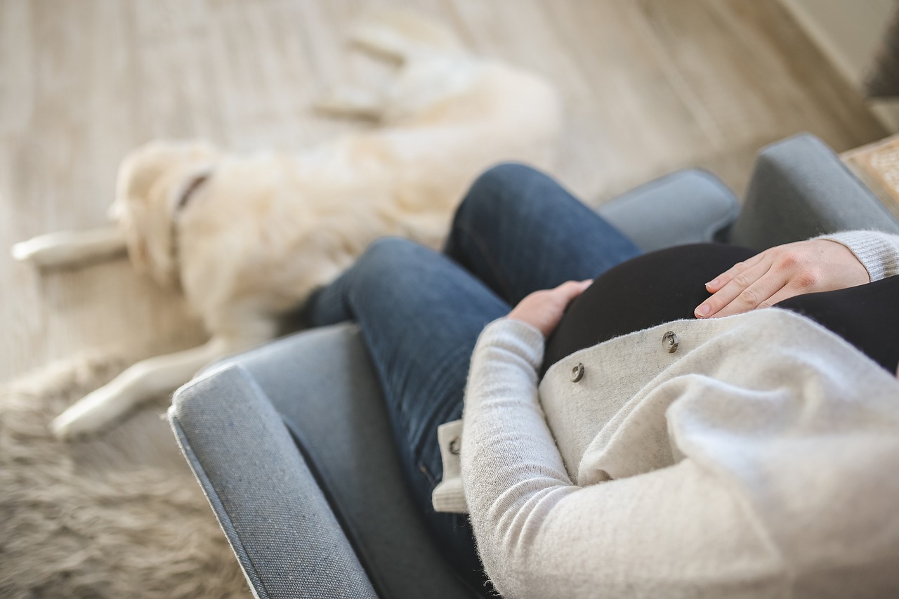 découvrez les tendances actuelles des cadeaux de grossesse ! explorez des idées originales et adorables pour célébrer cette période unique, que ce soit pour une future maman ou pour un baby shower mémorable. trouvez l'inspiration pour des présents qui feront plaisir et marqueront les esprits.