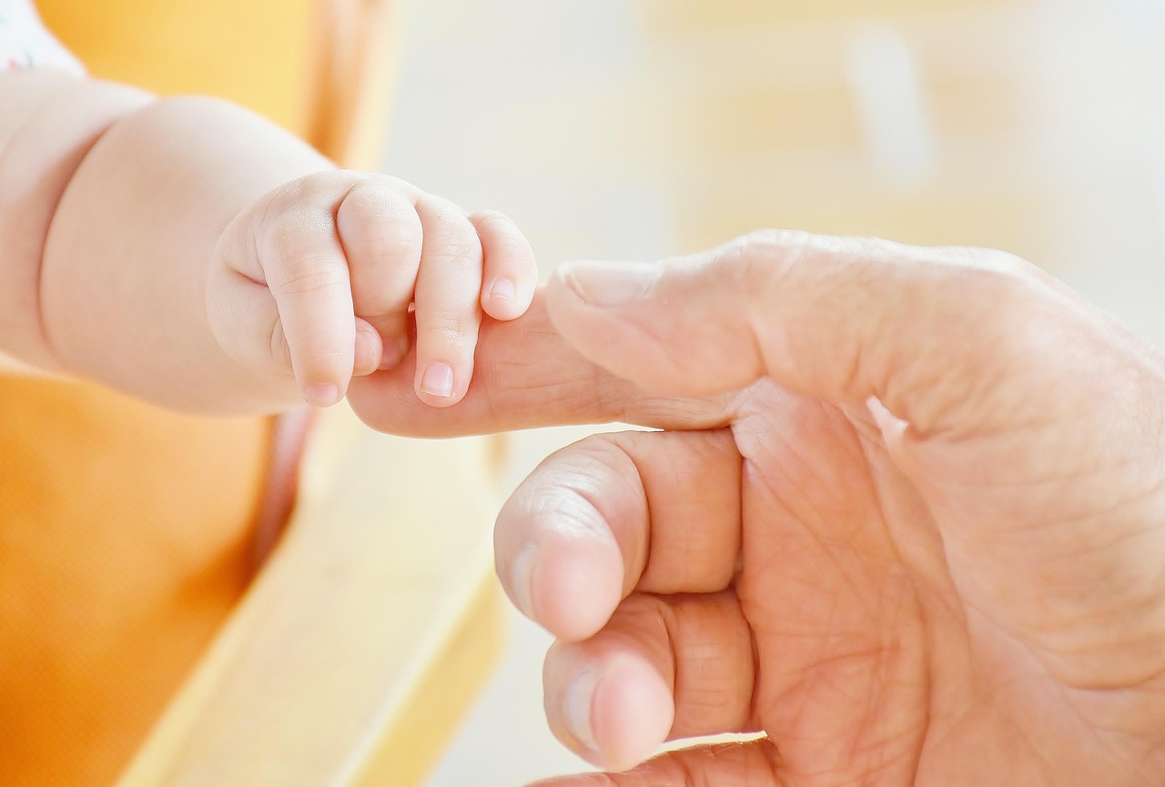 découvrez les meilleures idées de sorties en plein air pour les bébés. profitez de moments inoubliables en famille tout en explorant la nature, les parcs et les activités adaptées aux tout-petits.