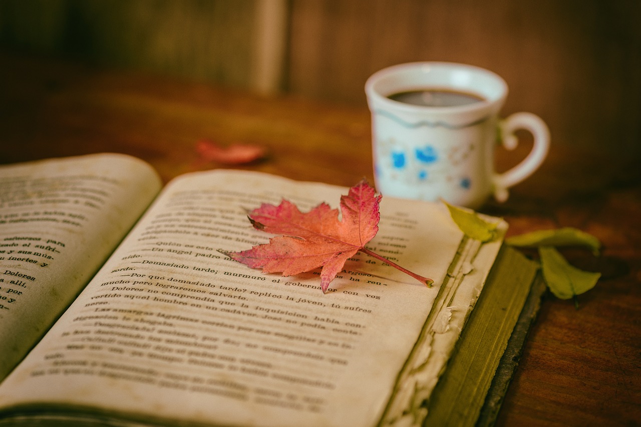 découvrez une sélection de livres adaptés à chaque tranche d'âge, favorisant l'éveil et le développement des enfants à travers des histoires captivantes et éducatives.