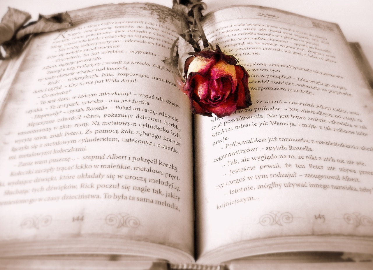 découvrez un monde magique de livres pour enfants, où l'imagination n'a pas de limites. nos histoires captivantes, adaptées à tous les âges, encouragent la lecture et éveillent la curiosité des plus jeunes. plongez dans des aventures fascinantes avec des personnages attachants et des leçons précieuses!