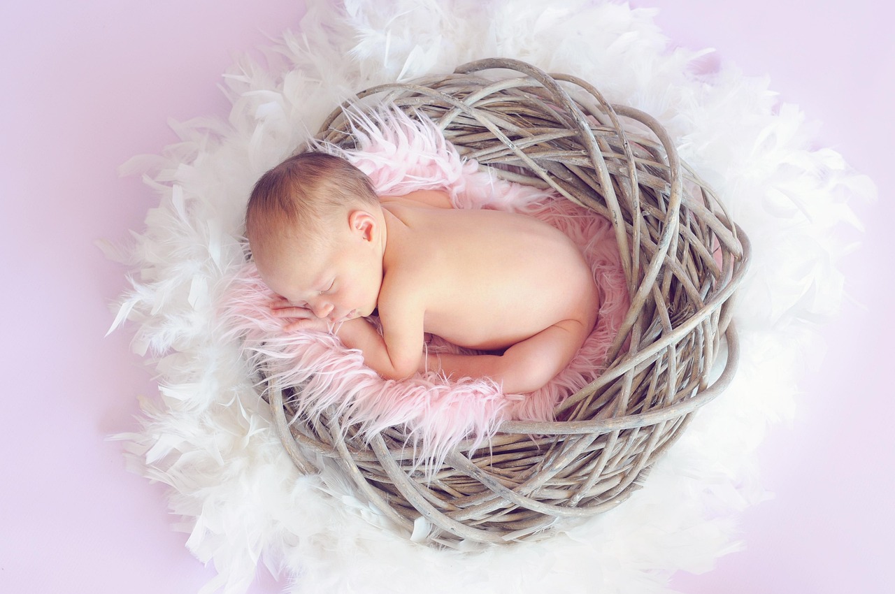 découvrez des idées amusantes et sécurisées pour des sorties avec votre bébé. explorez des activités adaptées à tous les âges et profitez de moments précieux en famille tout en découvrant de nouveaux lieux.