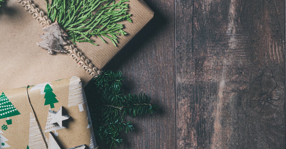 découvrez notre sélection de cadeaux durables qui allient écologie et originalité. offrez des présents respectueux de l'environnement pour toutes les occasions, sans compromettre votre style. faites un geste pour la planète tout en surprenant vos proches !