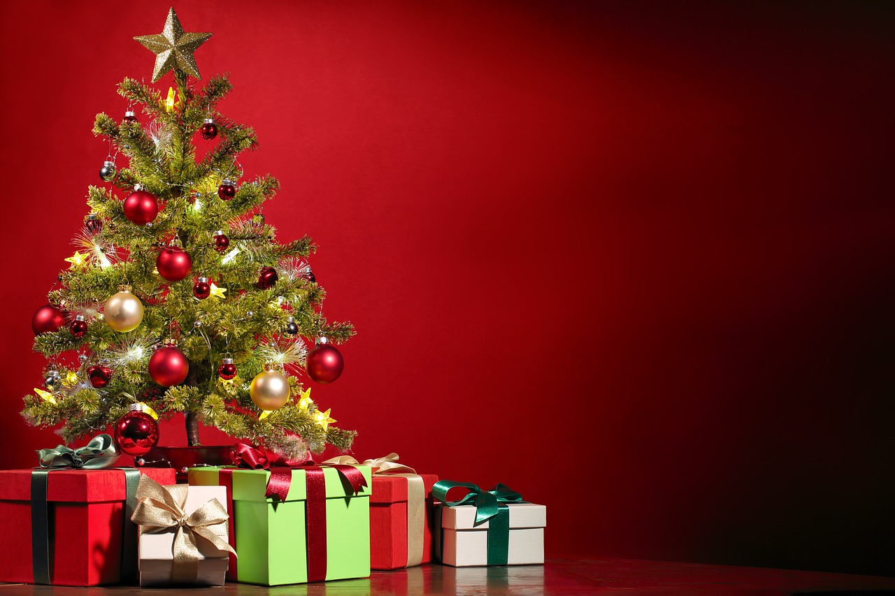 découvrez notre sélection de cadeaux éducatifs qui inspirent l'apprentissage et la créativité chez les enfants. idéaux pour stimuler la curiosité et favoriser le développement intellectuel, ces cadeaux allient amusement et pédagogie.