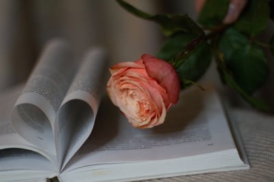 Cadeau éducatif : comment choisir le présent idéal pour stimuler l’apprentissage des enfants