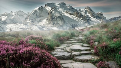 Guide complet sur Yggtorrent : Téléchargez vos films préférés en un clin d’œil !